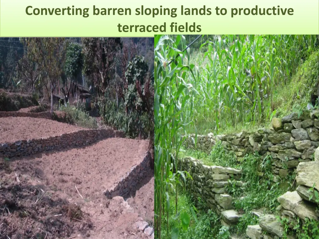 converting barren sloping lands to productive