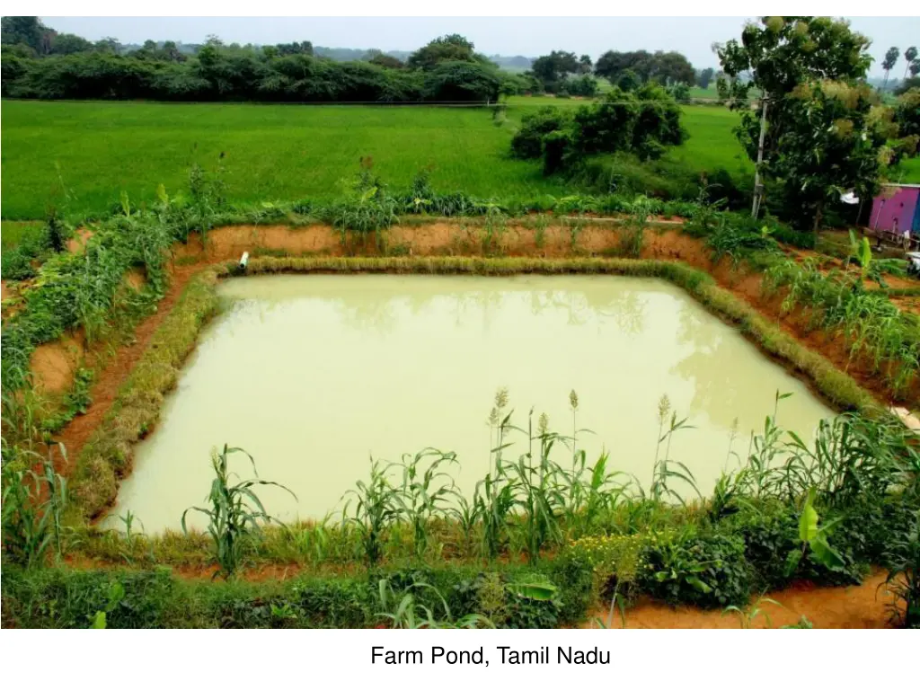 farm pond tamil nadu