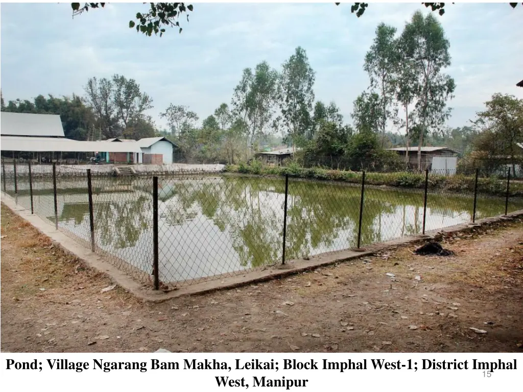 pond village ngarang bam makha leikai block