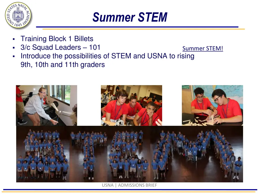 summer stem