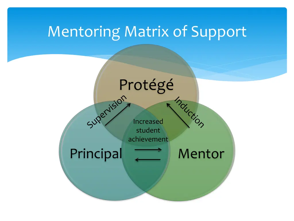 mentoring matrix of support