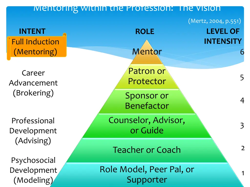 mentoring within the profession the vision