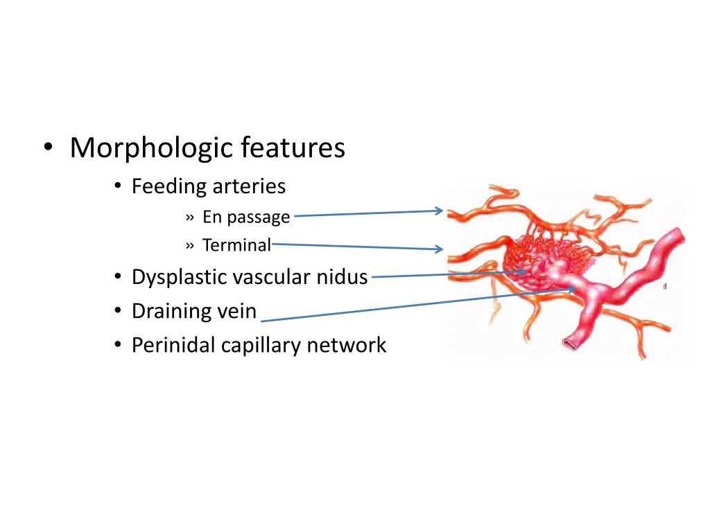 morphologic features feeding arteries en passage