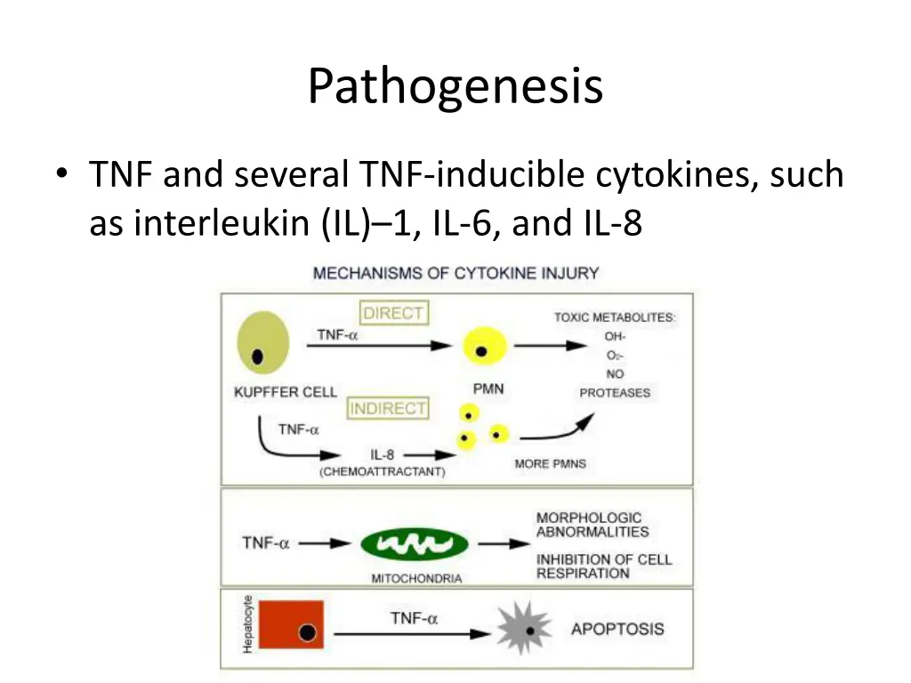 pathogenesis