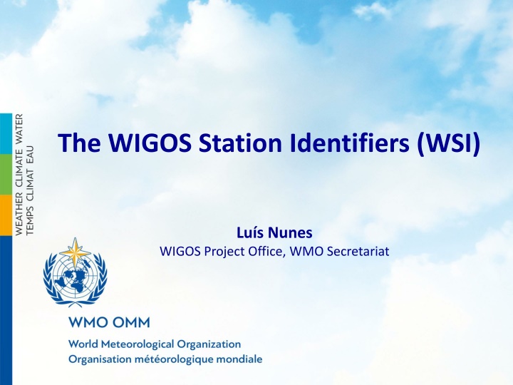 the wigos station identifiers wsi