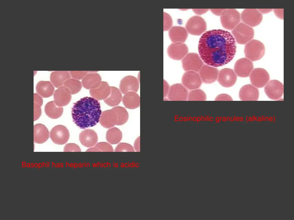 eosinophilic granules alkaline