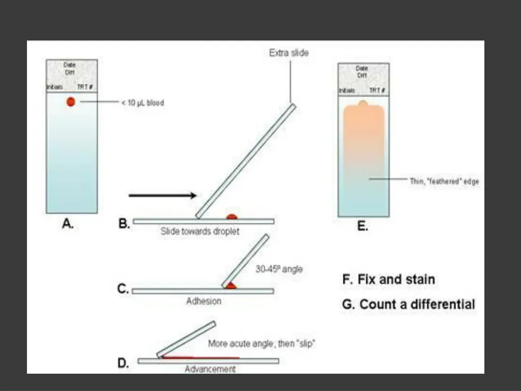 slide5