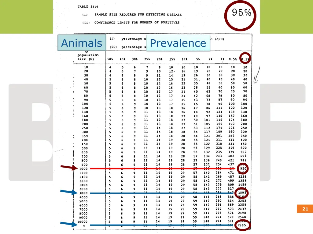 animals 1