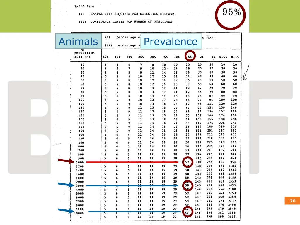 animals