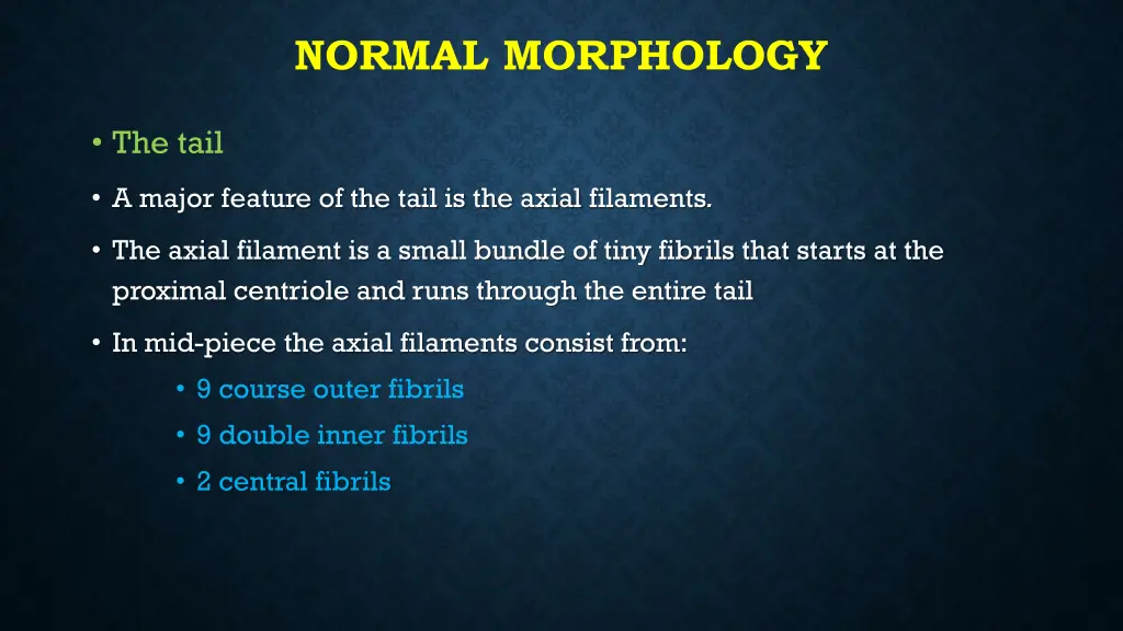normal morphology 3