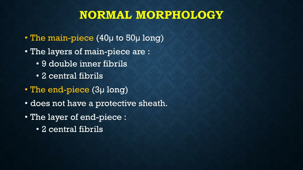 normal morphology 4
