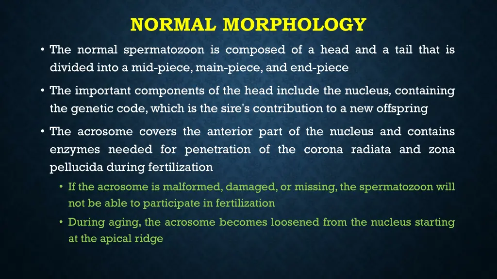 normal morphology
