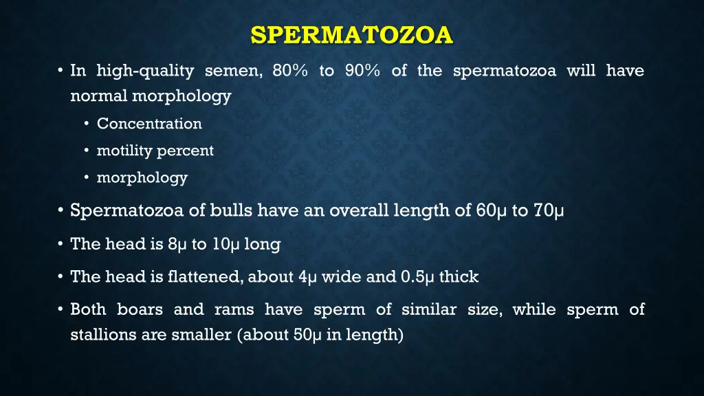 spermatozoa 1