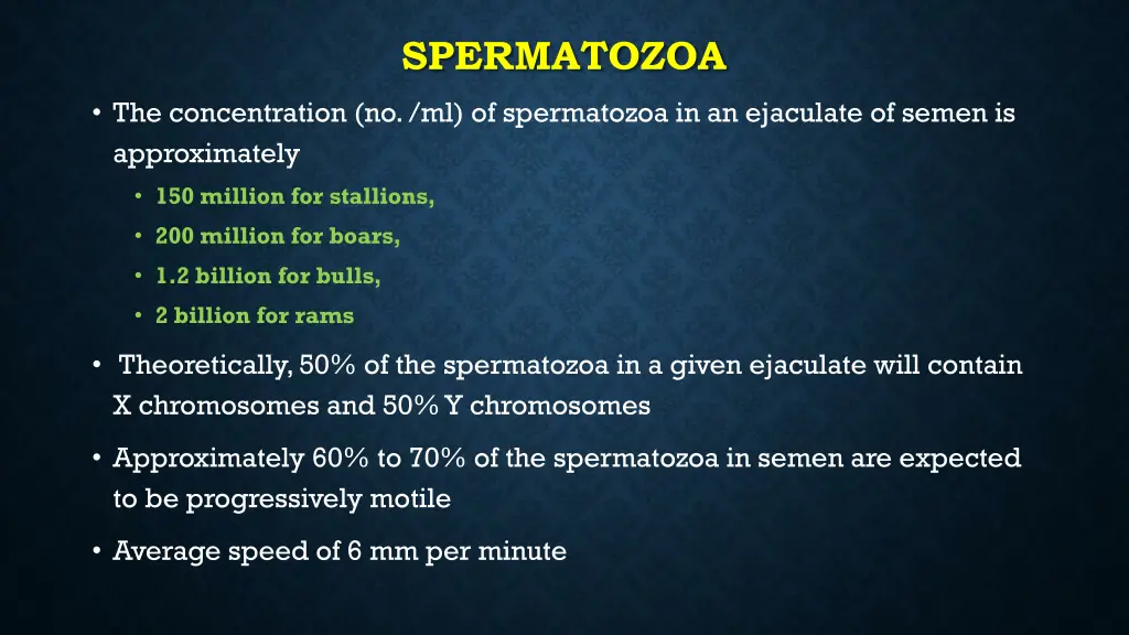 spermatozoa