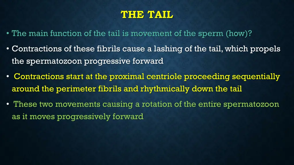 the tail