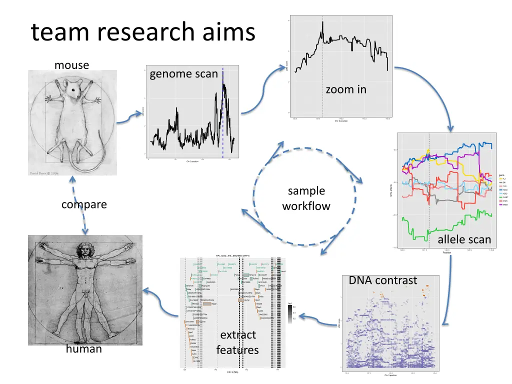 team research aims
