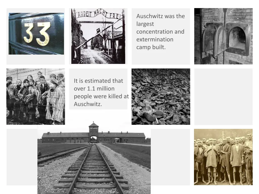 auschwitz was the largest concentration