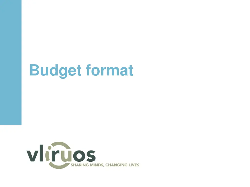 budget format
