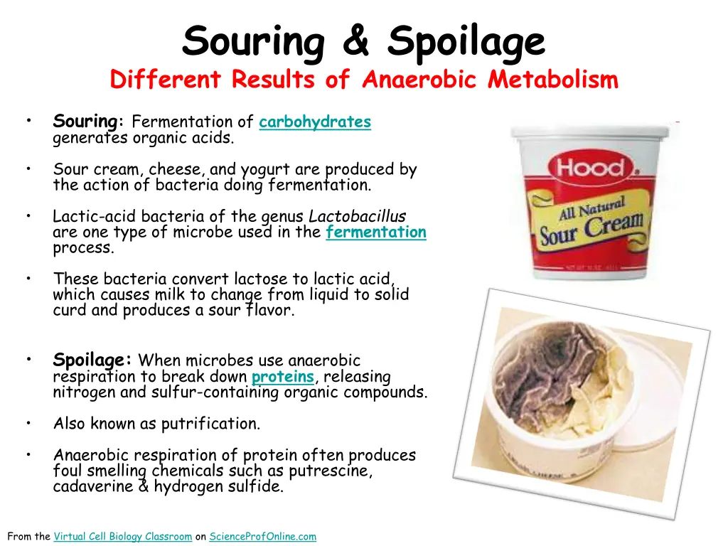 souring spoilage different results of anaerobic
