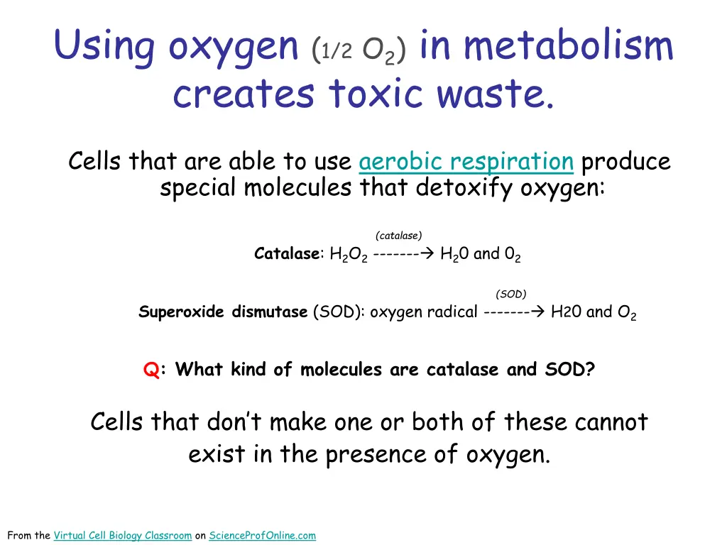using oxygen 1 2 o 2 in metabolism creates toxic