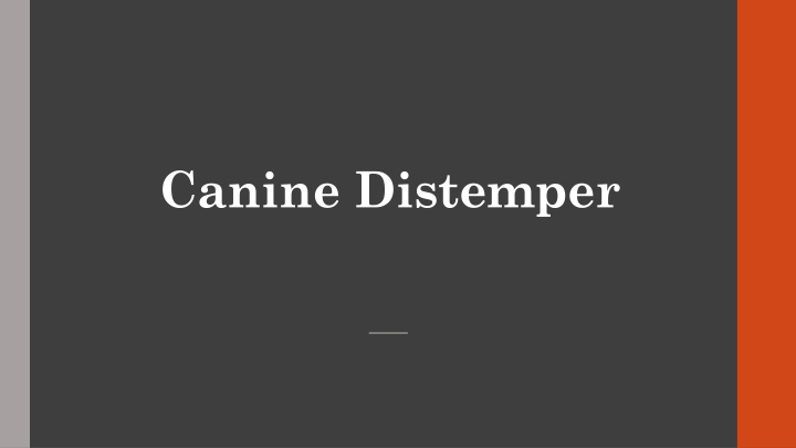 canine distemper