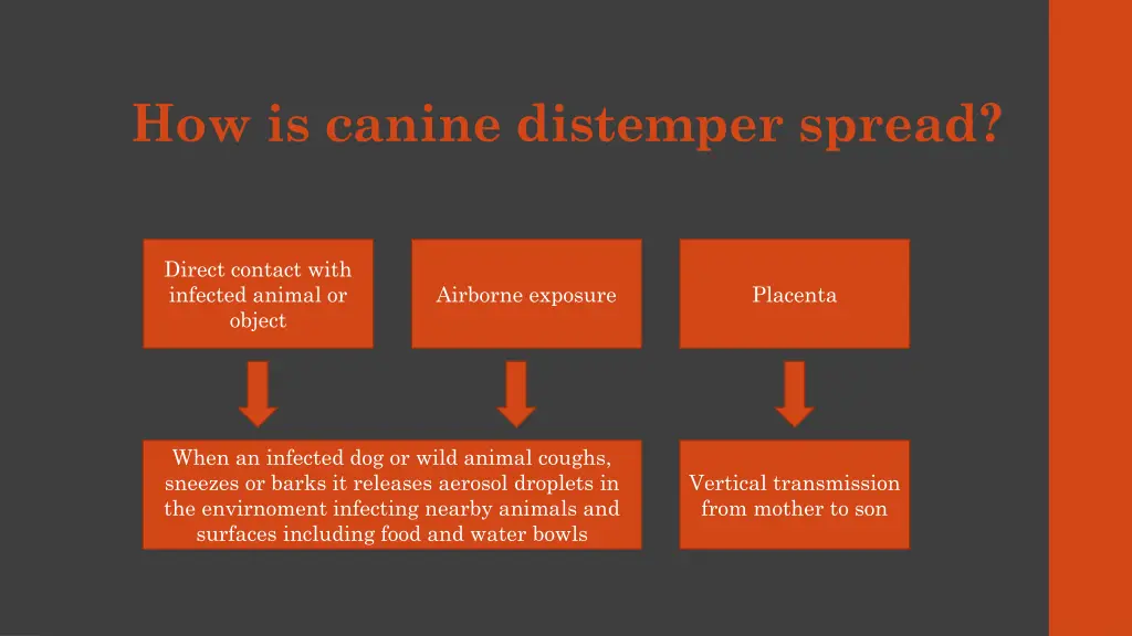 how is canine distemper spread