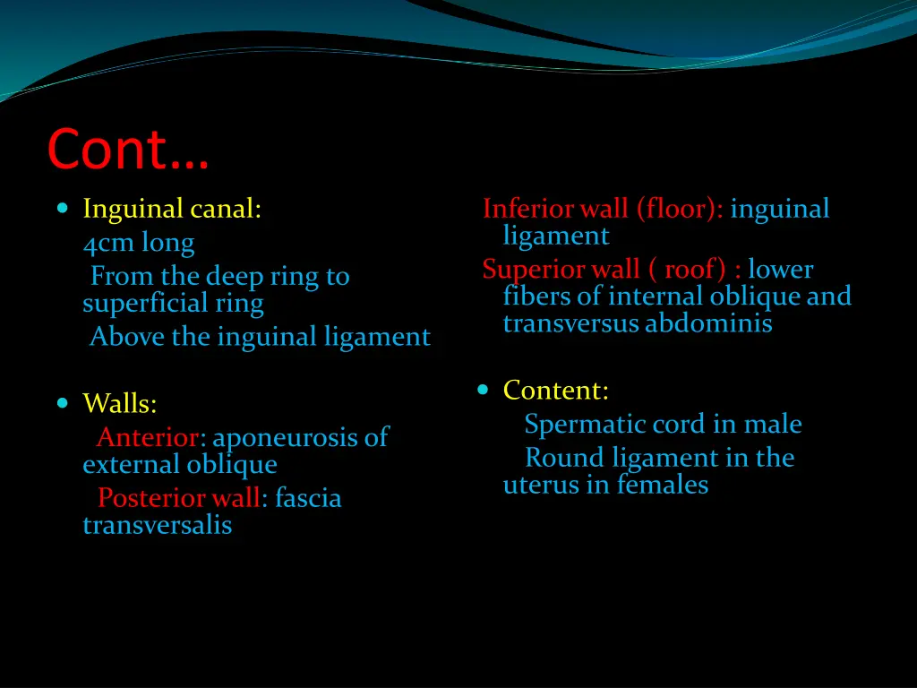 cont inguinal canal 4cm long from the deep ring