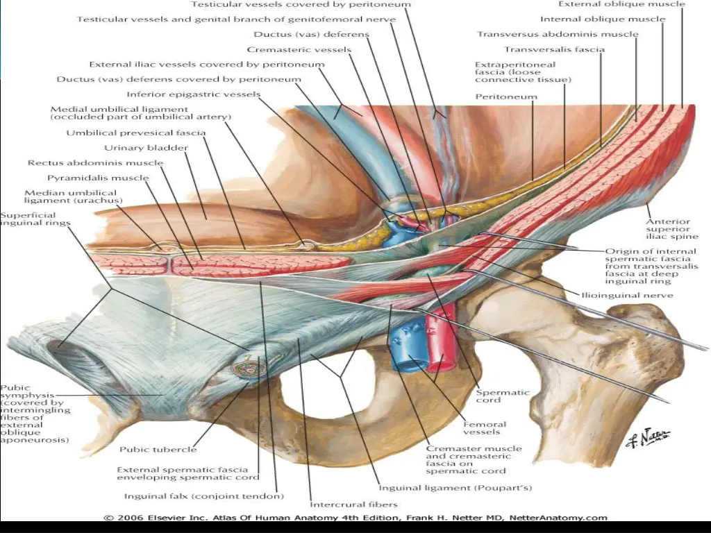 slide9