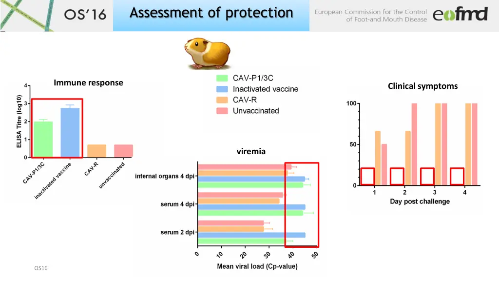 assessment of protection