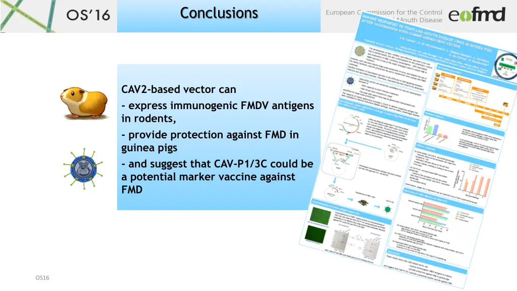 conclusions