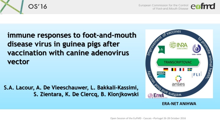 immune responses to foot and mouth disease virus