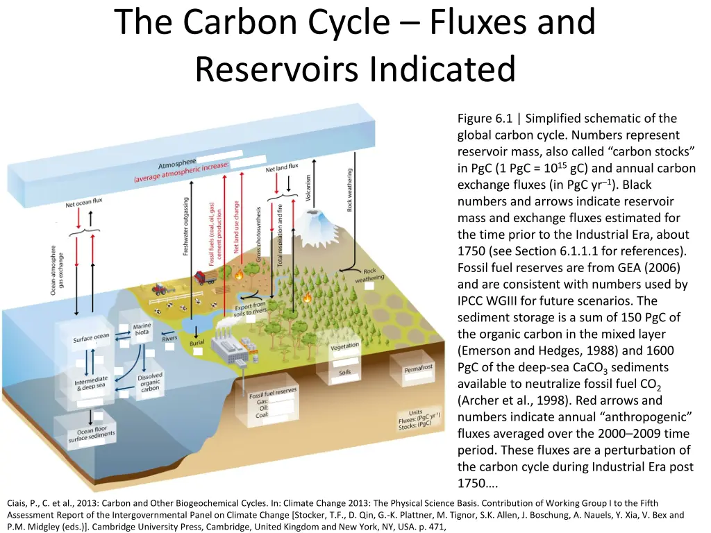 the carbon cycle fluxes and reservoirs indicated