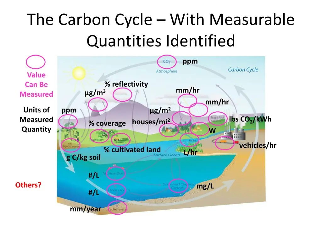 the carbon cycle with measurable quantities