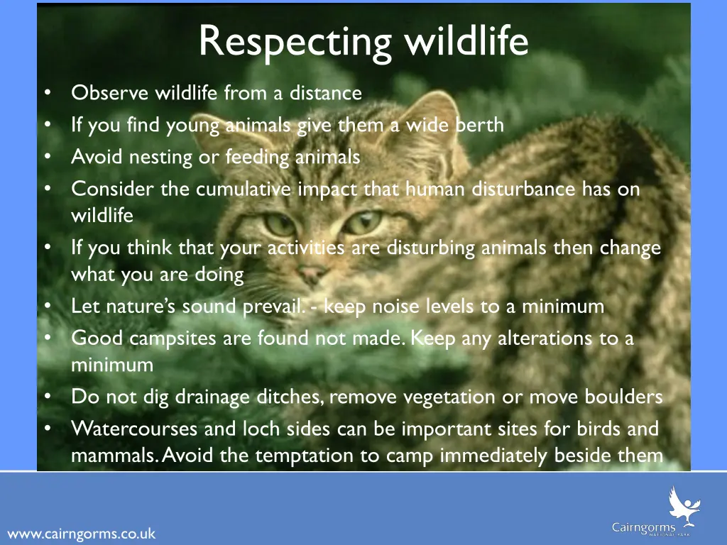 respecting wildlife