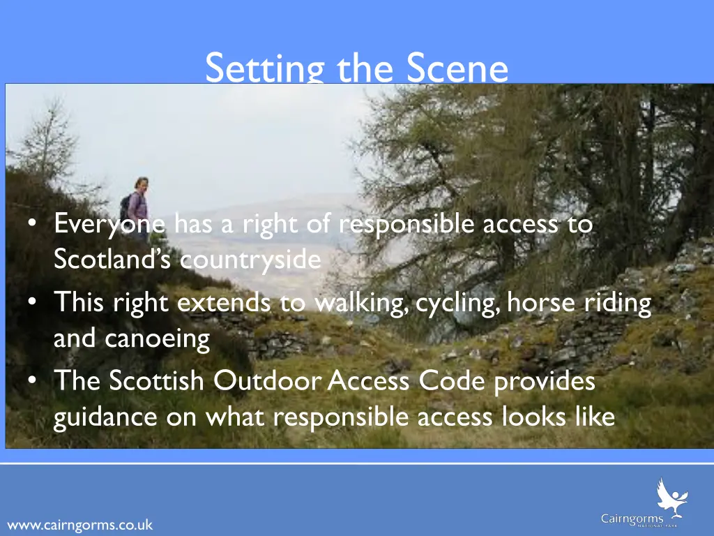 setting the scene