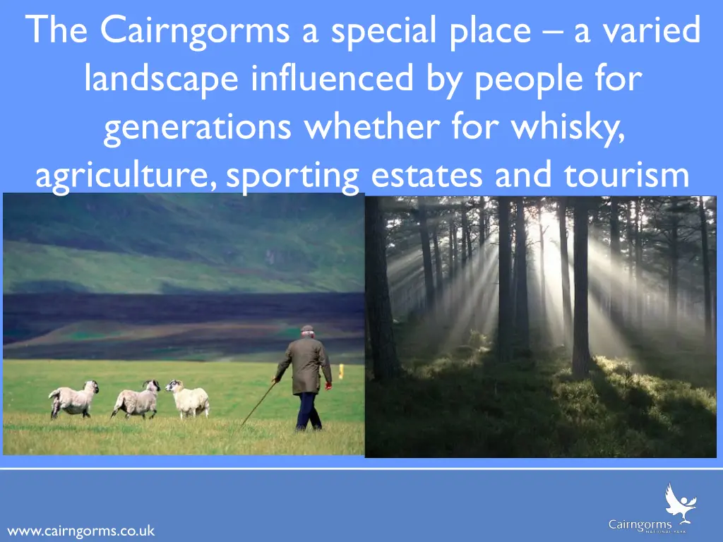 the cairngorms a special place a varied landscape