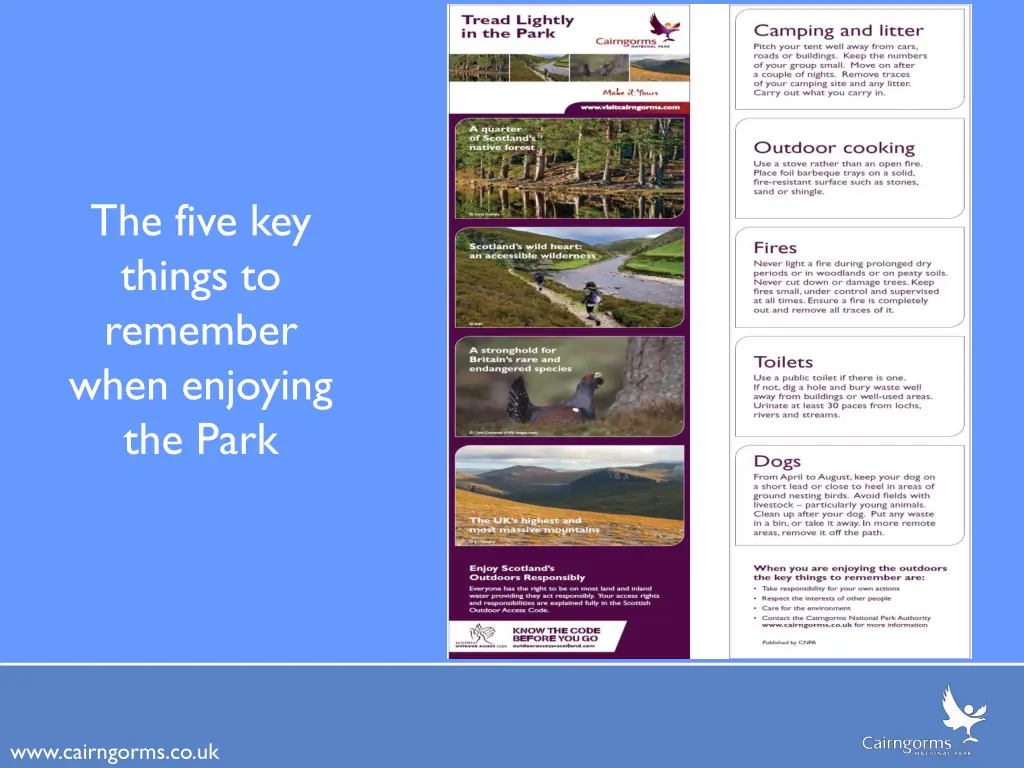 the five key things to remember when enjoying