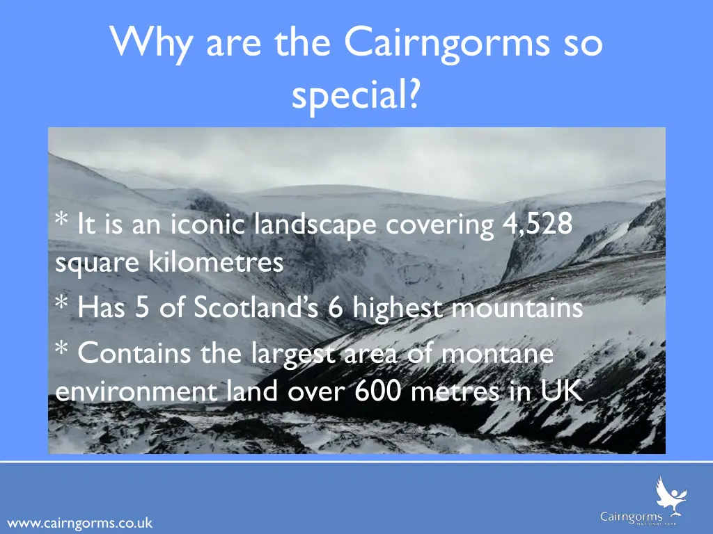 why are the cairngorms so special