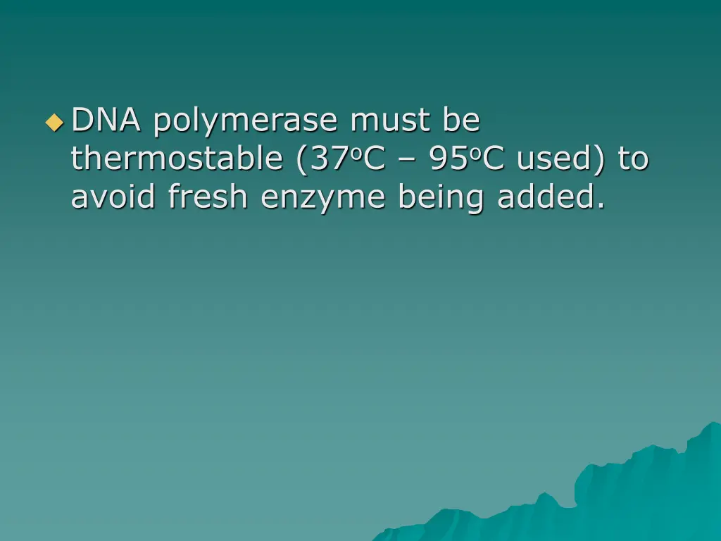 dna polymerase must be thermostable