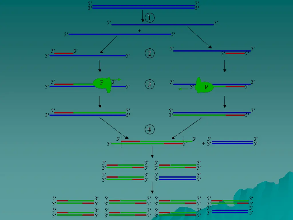 slide5
