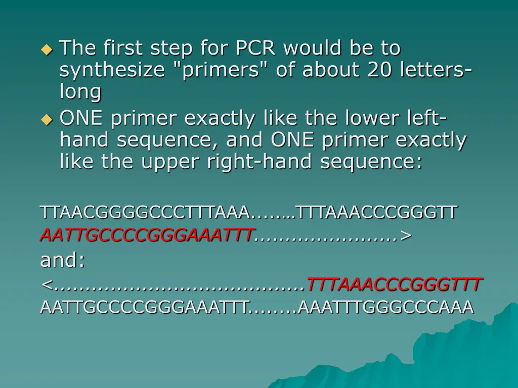 the first step for pcr would be to synthesize