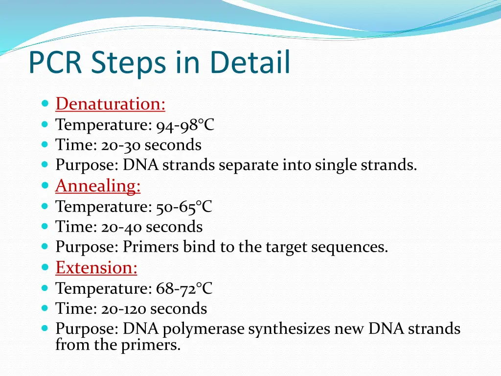 pcr steps in detail