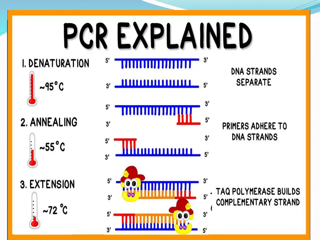slide4