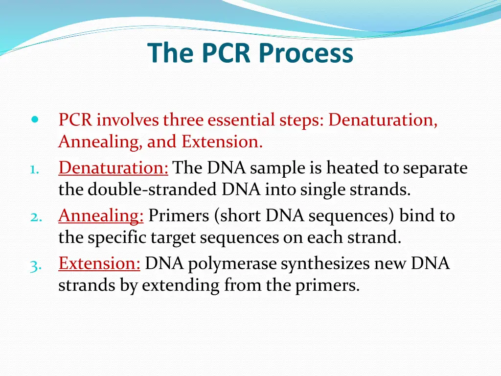 the pcr process