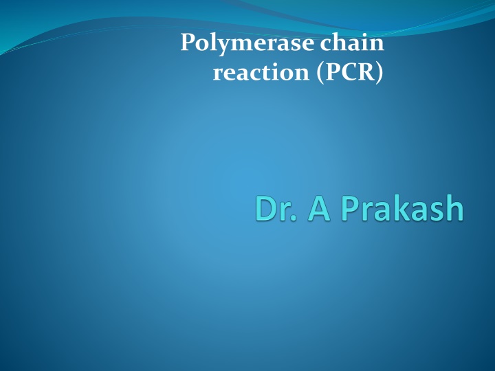 polymerase chain reaction pcr