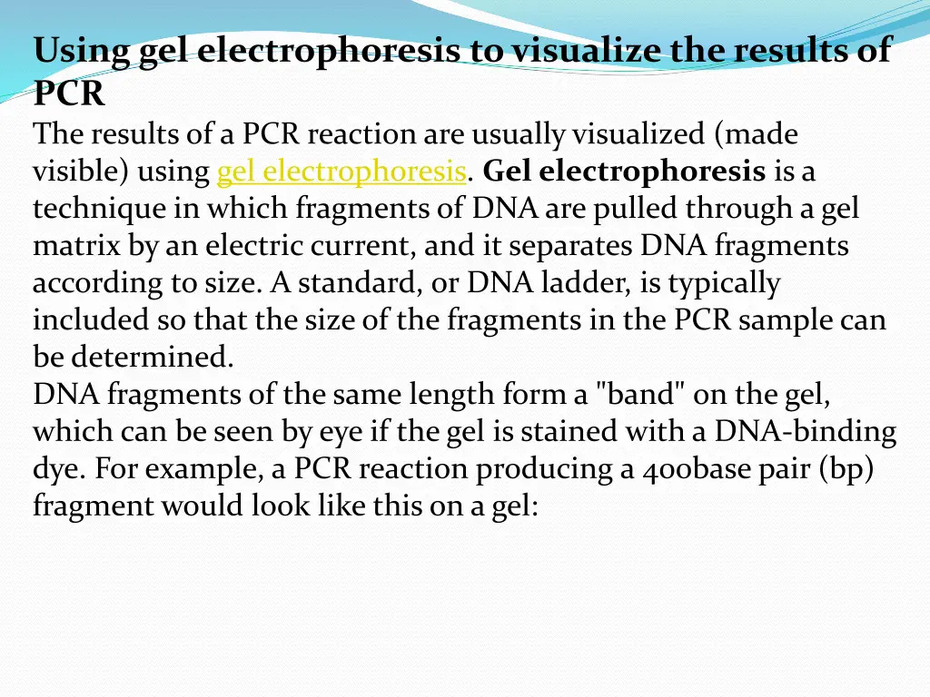 using gel electrophoresis to visualize