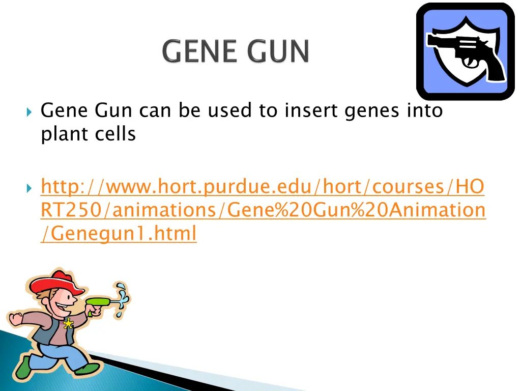 gene gun can be used to insert genes into plant