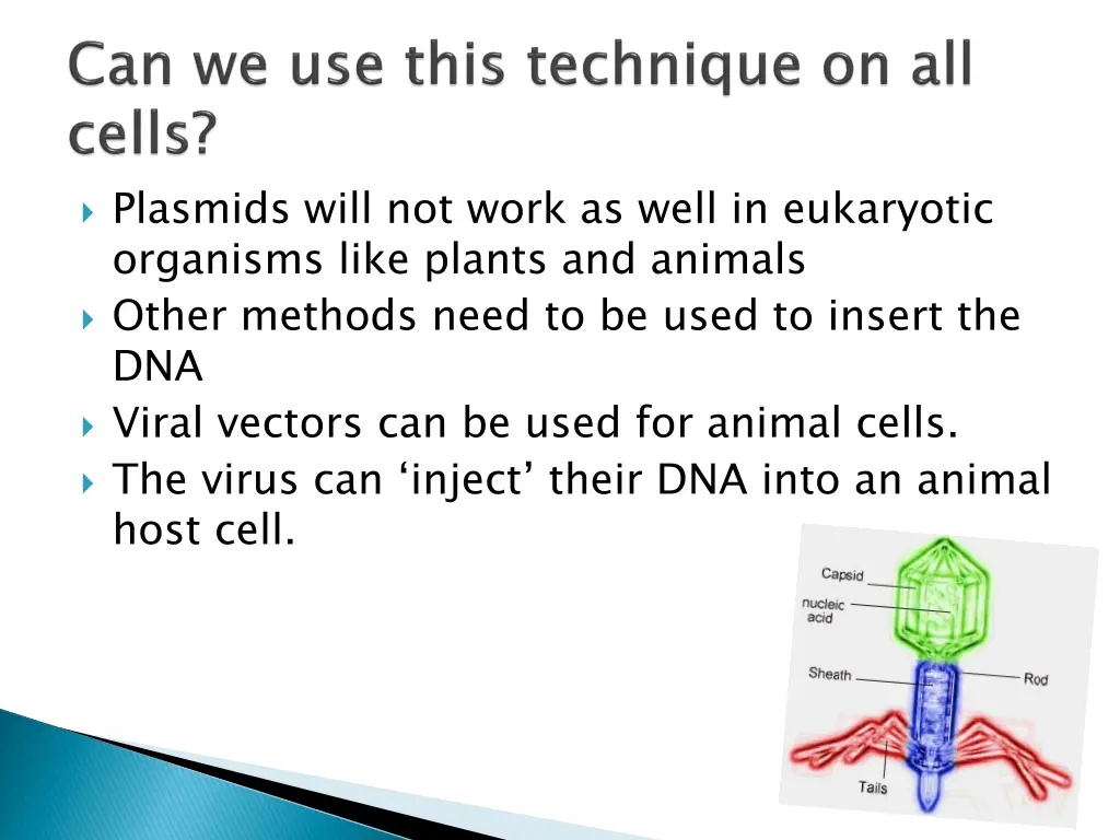 plasmids will not work as well in eukaryotic
