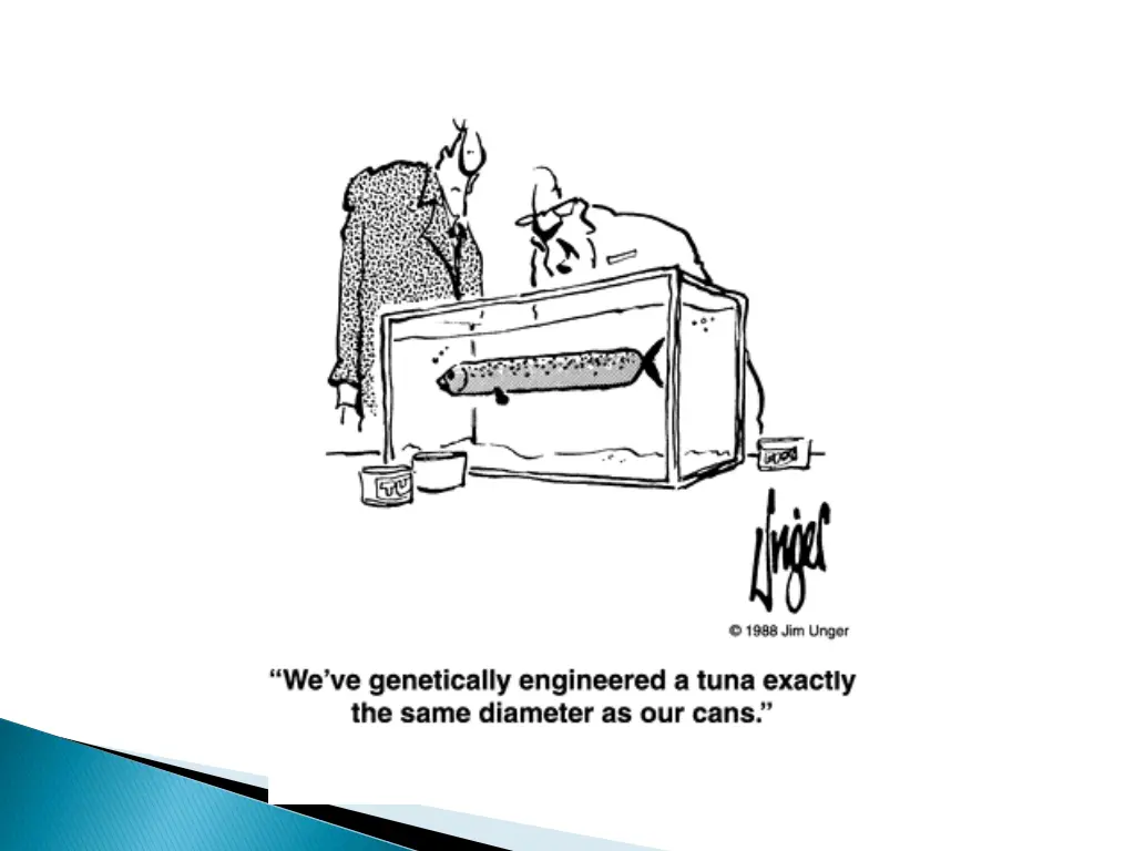 slide24