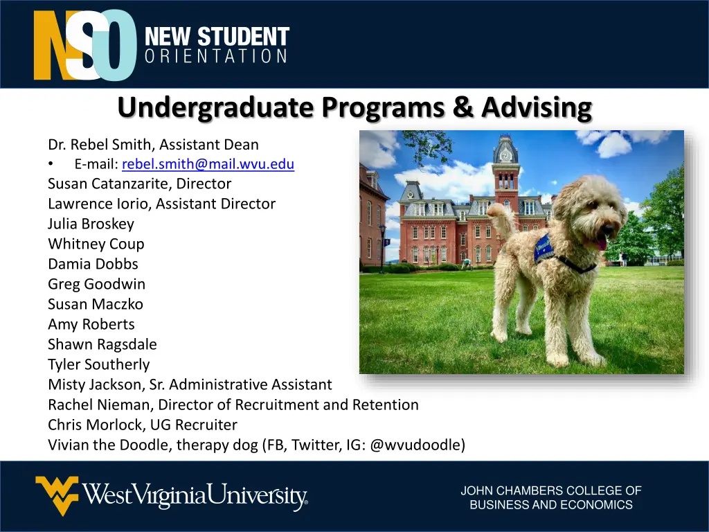 undergraduate programs advising